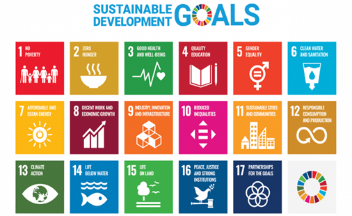 การสนับสนุนทุนทางสังคมเพื่อเป้าหมายการพัฒนาที่ยั่งยืน (SDGs)